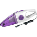 Aspirateur a main alliant une filtration des particules fines et la collecte des poils